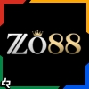 69VN 101 1751093809525 slide